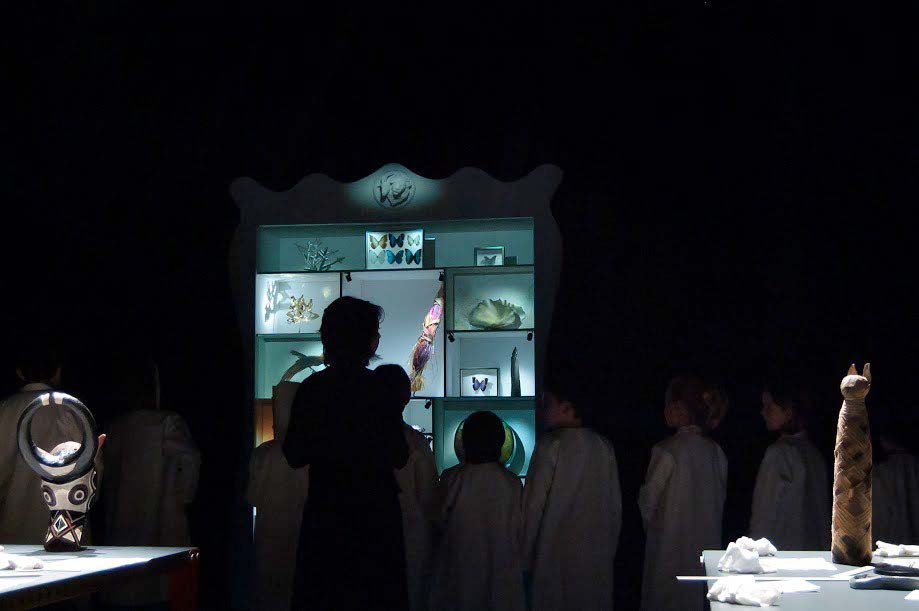 Atelier « La chambre des merveilles », Musée des Confluences, 2016