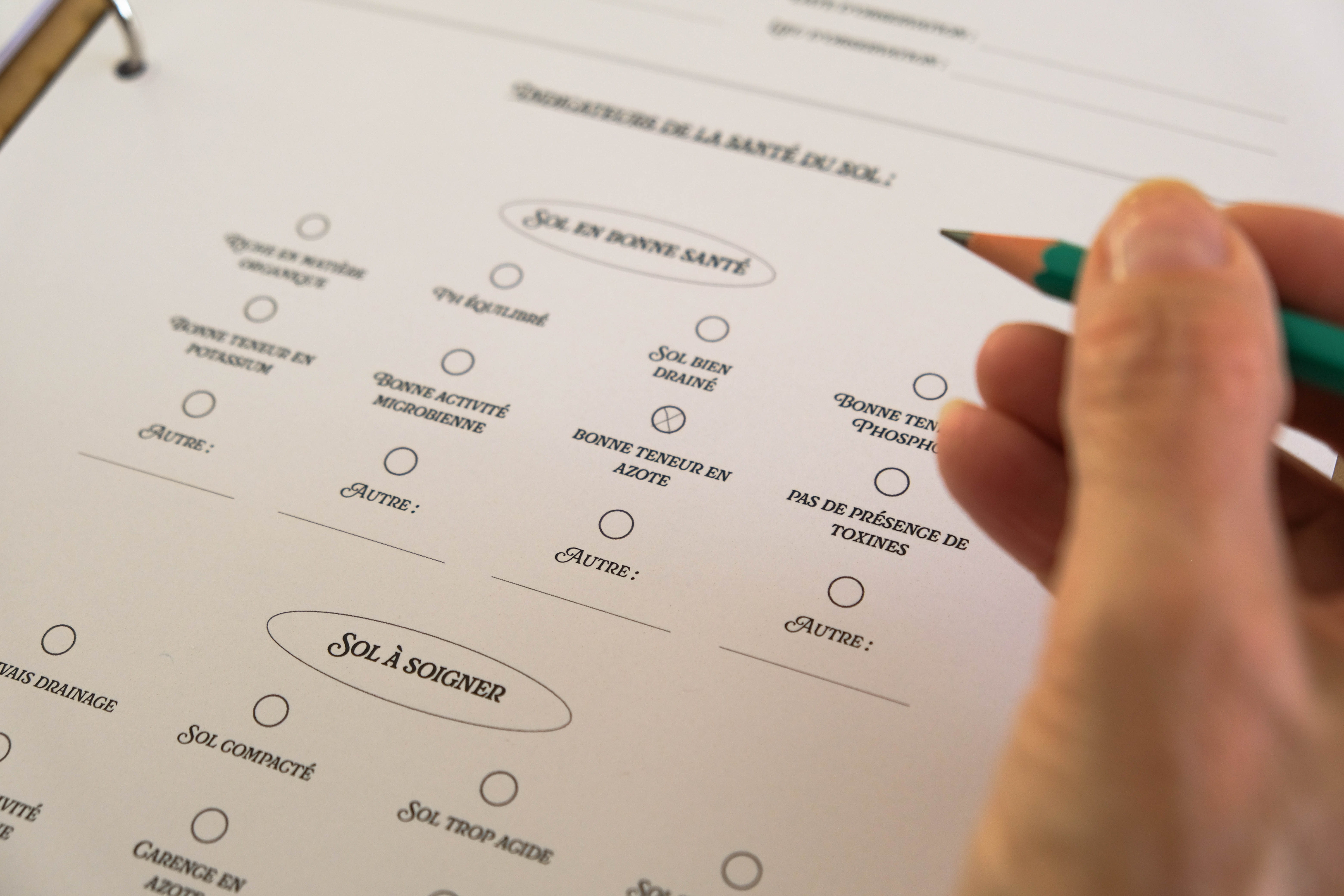 Fiche d'identification des plantes bioindicatrices © Gabrielle Vinas