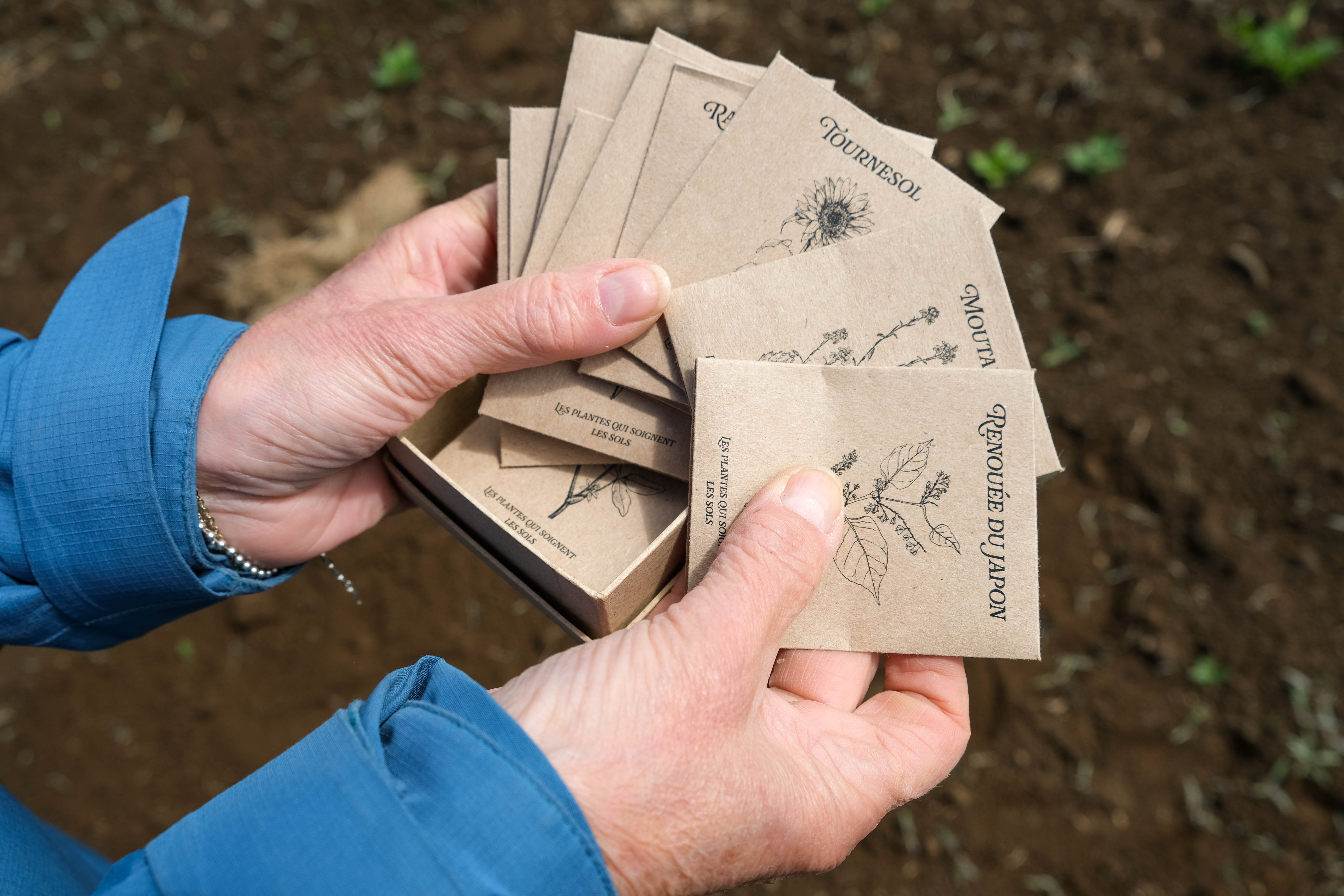 Photo du kit des graines qui soignent les sols © Gabrielle Vinas