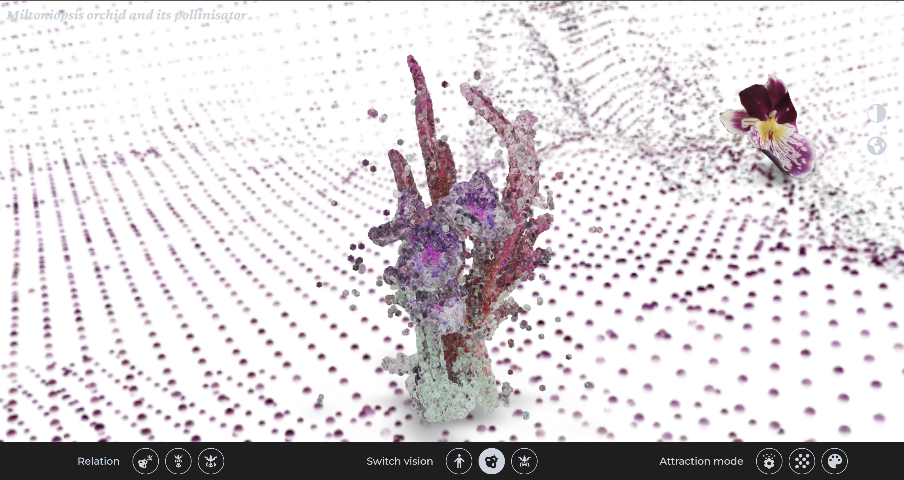 Interface mettant en scène différentes perspectives symbiotiques