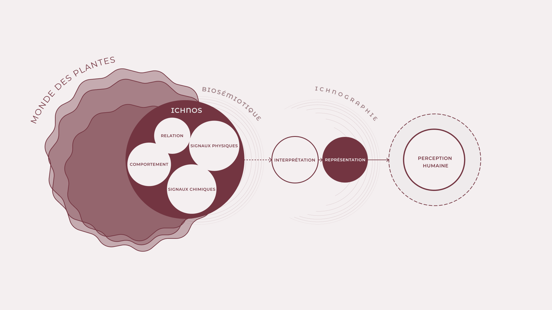 Méthodologie d'ichnographie végétale