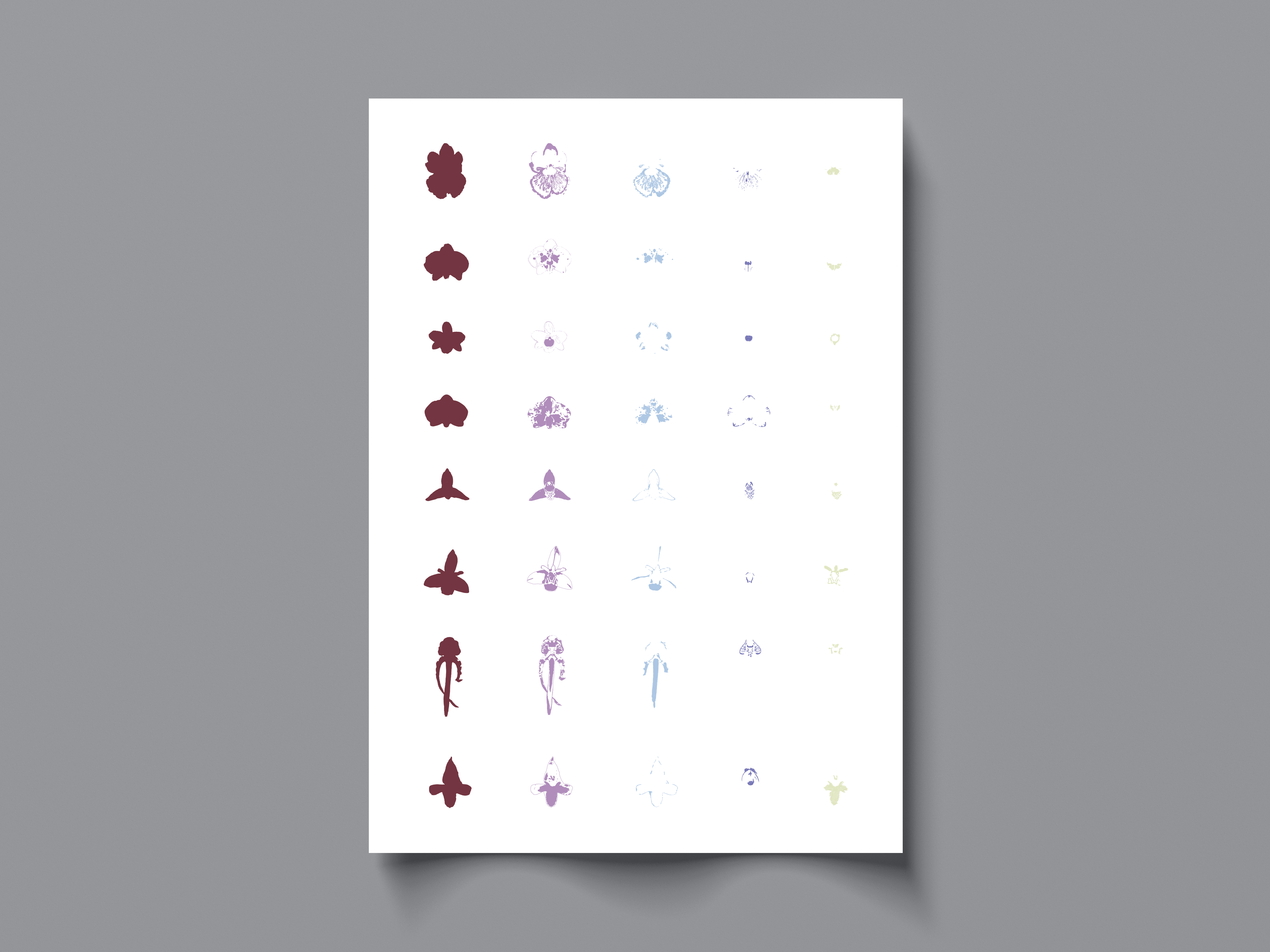 Recherche graphique sur la biosémiotique des fleurs d'orchidées