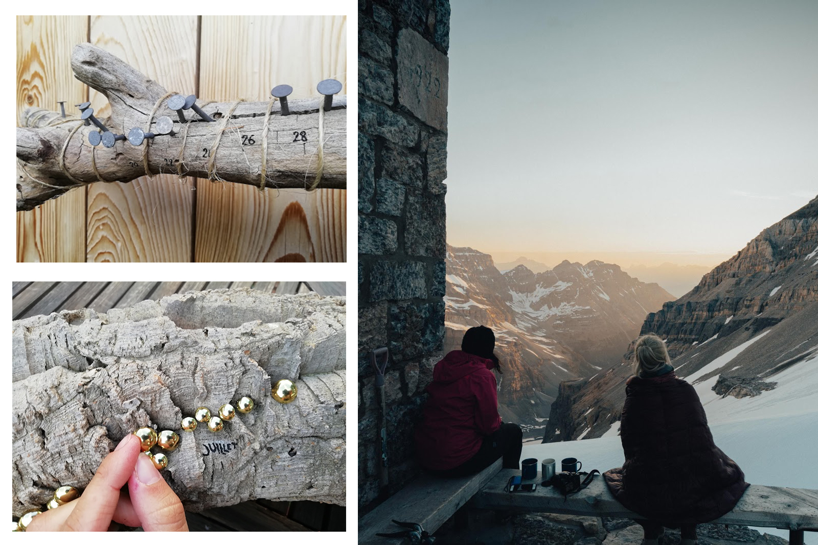 Observation et sciences participatives en haute-montagne, <br>Chloé D., avec l'équipe du Reflab, 2020